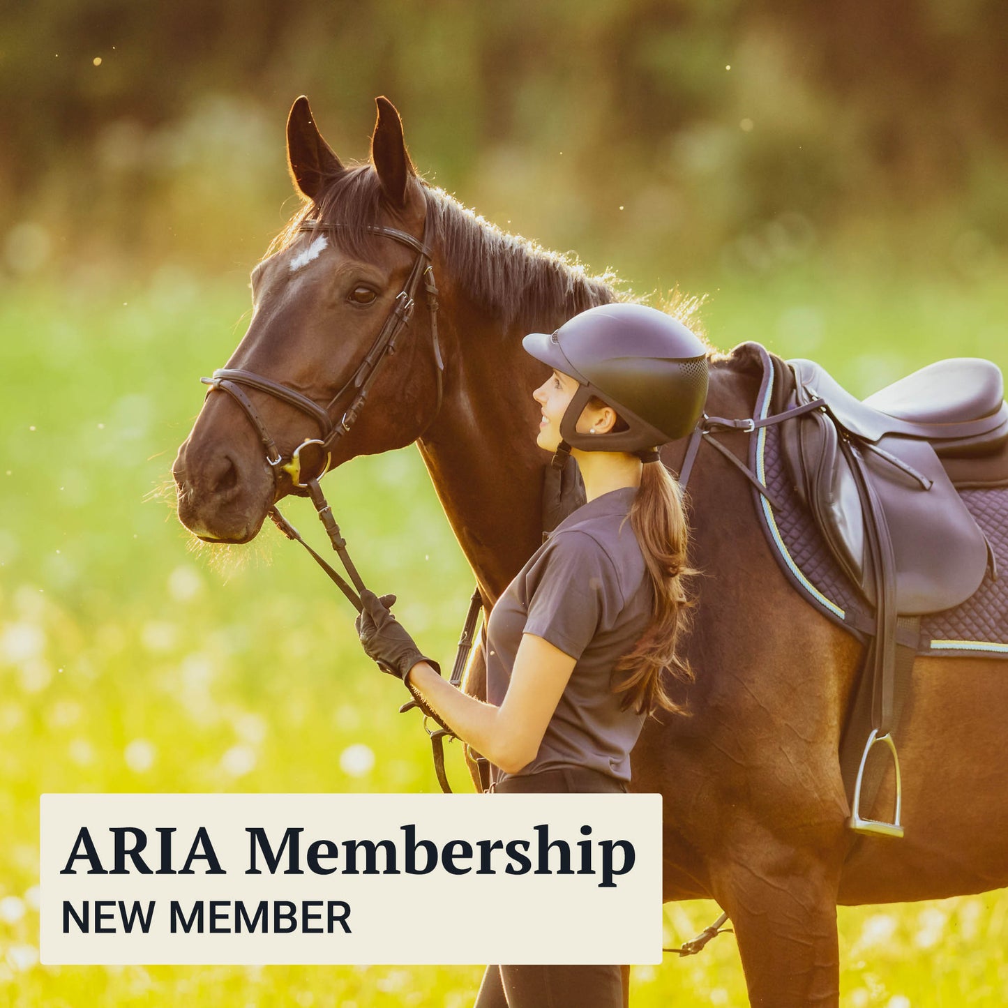 ARIA Membership - New Member